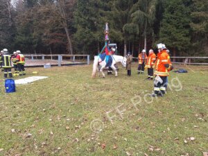 Feuerwehr Pöring Großtierrettung