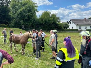 Feuerwehr Pöring Pferd in Güllegrube